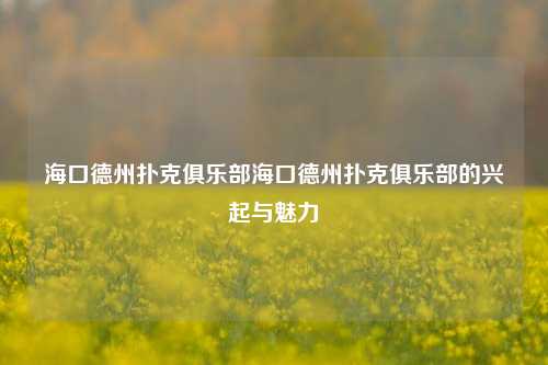 海口德州扑克俱乐部海口德州扑克俱乐部的兴起与魅力