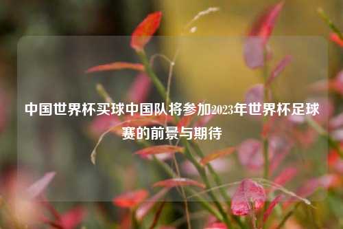 中国世界杯买球中国队将参加2023年世界杯足球赛的前景与期待