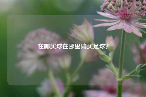 在哪买球在哪里购买足球？