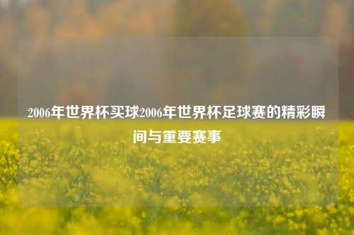 2006年世界杯买球2006年世界杯足球赛的精彩瞬间与重要赛事