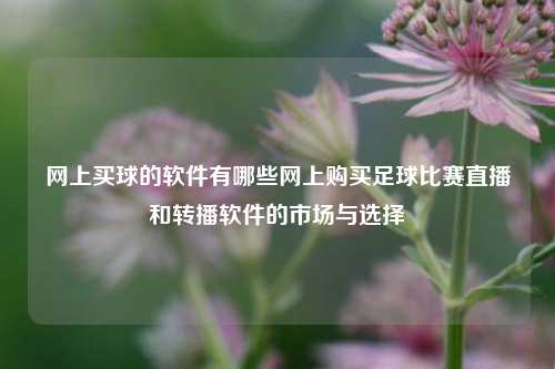 网上买球的软件有哪些网上购买足球比赛直播和转播软件的市场与选择