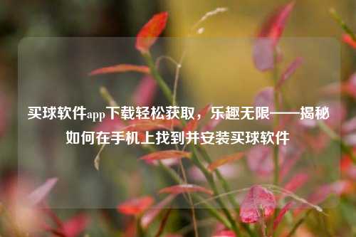 买球软件app下载轻松获取，乐趣无限——揭秘如何在手机上找到并安装买球软件