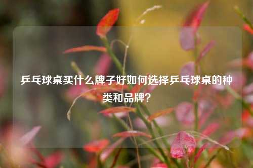 乒乓球桌买什么牌子好如何选择乒乓球桌的种类和品牌？