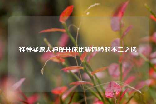 推荐买球大神提升你比赛体验的不二之选