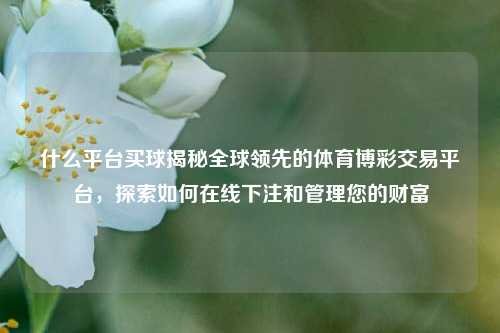 什么平台买球揭秘全球领先的体育博彩交易平台，探索如何在线下注和管理您的财富
