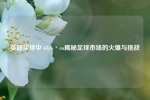 英超买球中 63yb丶cn揭秘足球市场的火爆与挑战
