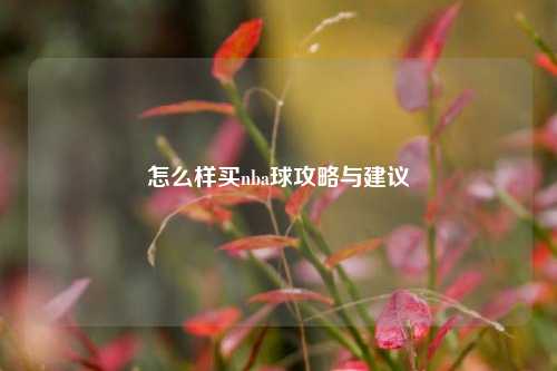 怎么样买nba球攻略与建议