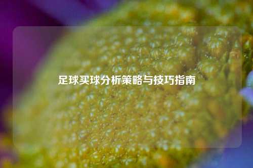 足球买球分析策略与技巧指南