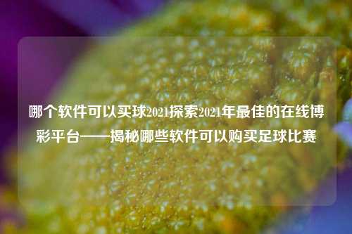 哪个软件可以买球2021探索2021年最佳的在线博彩平台——揭秘哪些软件可以购买足球比赛