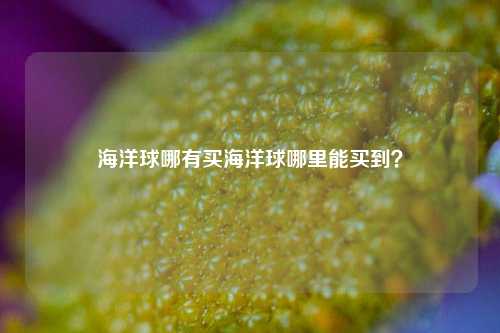 海洋球哪有买海洋球哪里能买到？