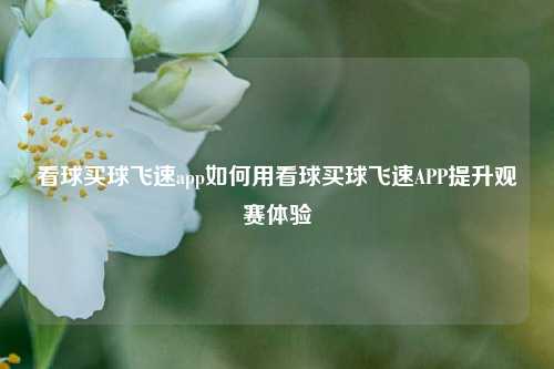 看球买球飞速app如何用看球买球飞速APP提升观赛体验