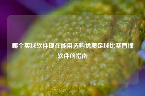 哪个买球软件现在能用选购优质足球比赛直播软件的指南