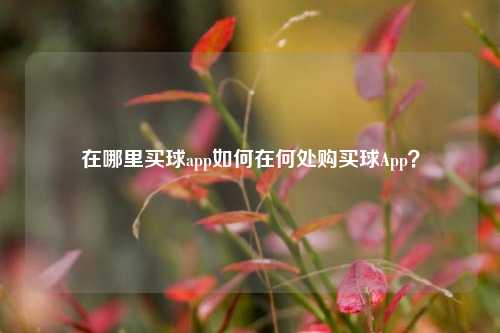 在哪里买球app如何在何处购买球App？