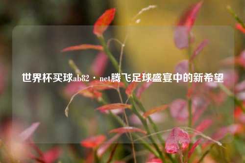 世界杯买球ab82·net腾飞足球盛宴中的新希望