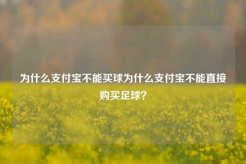 为什么支付宝不能买球为什么支付宝不能直接购买足球？