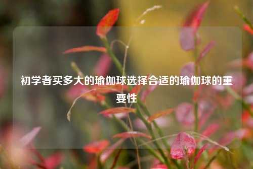 初学者买多大的瑜伽球选择合适的瑜伽球的重要性