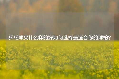 乒乓球买什么样的好如何选择最适合你的球拍？