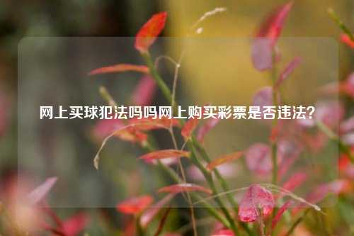 网上买球犯法吗吗网上购买彩票是否违法？