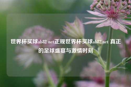 世界杯买球ab82 net正规世界杯买球ab82.net 真正的足球盛宴与激情时刻