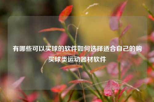 有哪些可以买球的软件如何选择适合自己的购买球类运动器材软件