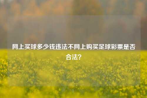 网上买球多少钱违法不网上购买足球彩票是否合法？