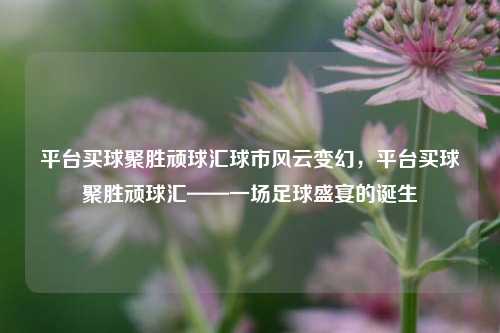 平台买球聚胜顽球汇球市风云变幻，平台买球聚胜顽球汇——一场足球盛宴的诞生