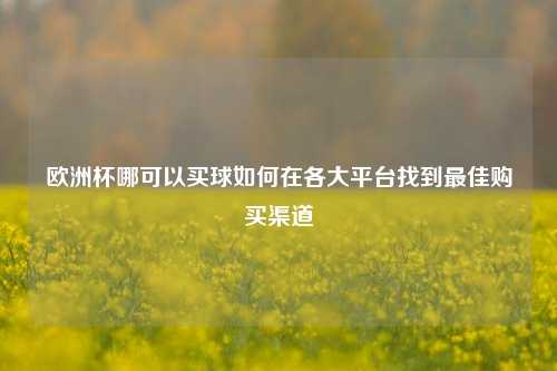 欧洲杯哪可以买球如何在各大平台找到最佳购买渠道