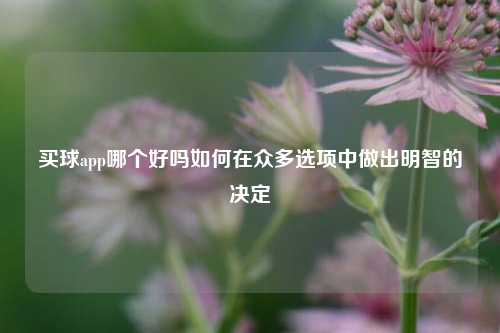 买球app哪个好吗如何在众多选项中做出明智的决定