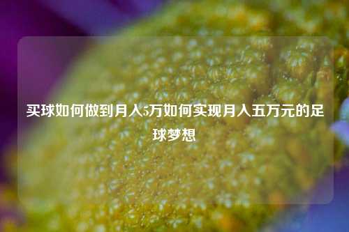 买球如何做到月入5万如何实现月入五万元的足球梦想