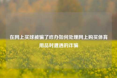 在网上买球被骗了咋办如何处理网上购买体育用品时遭遇的诈骗