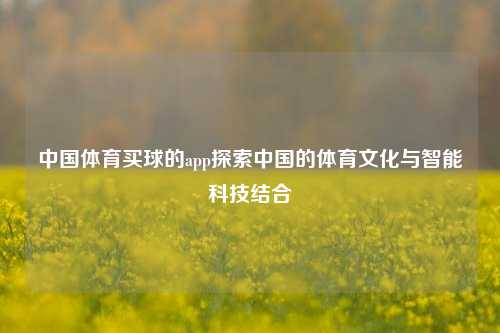 中国体育买球的app探索中国的体育文化与智能科技结合