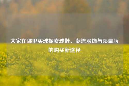 大家在哪里买球探索球鞋、潮流服饰与限量版的购买新途径