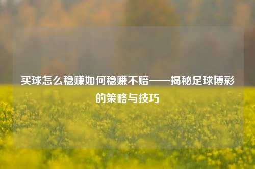 买球怎么稳赚如何稳赚不赔——揭秘足球博彩的策略与技巧