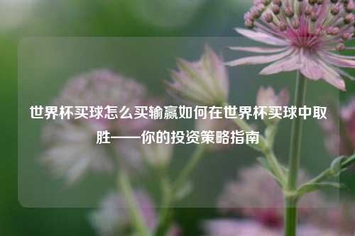 世界杯买球怎么买输赢如何在世界杯买球中取胜——你的投资策略指南