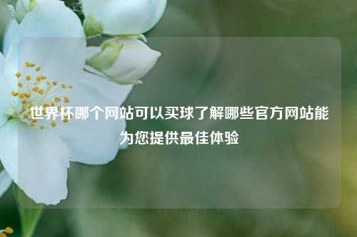 世界杯哪个网站可以买球了解哪些官方网站能为您提供最佳体验
