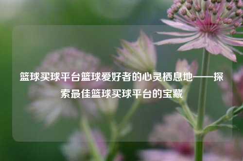 篮球买球平台篮球爱好者的心灵栖息地——探索最佳篮球买球平台的宝藏