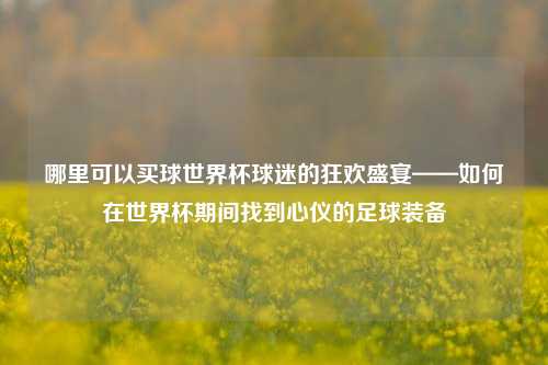 哪里可以买球世界杯球迷的狂欢盛宴——如何在世界杯期间找到心仪的足球装备