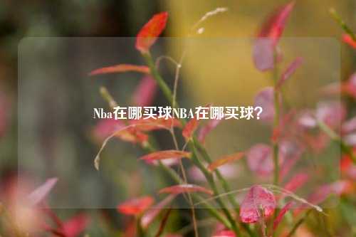 Nba在哪买球NBA在哪买球？