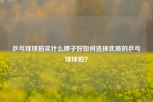 乒乓球球拍买什么牌子好如何选择优质的乒乓球球拍？