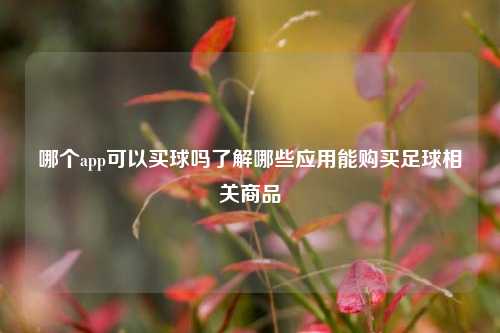 哪个app可以买球吗了解哪些应用能购买足球相关商品