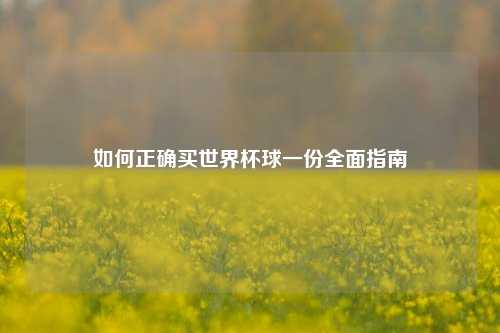 如何正确买世界杯球一份全面指南