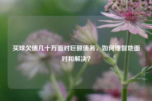 买球欠债几十万面对巨额债务，如何理智地面对和解决？