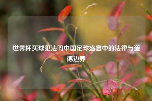 世界杯买球犯法吗中国足球盛宴中的法律与道德边界