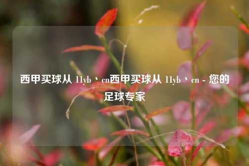 西甲买球从 11yb丶cn西甲买球从 11yb丶cn - 您的足球专家
