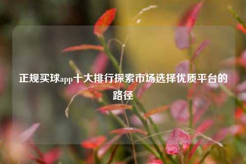正规买球app十大排行探索市场选择优质平台的路径