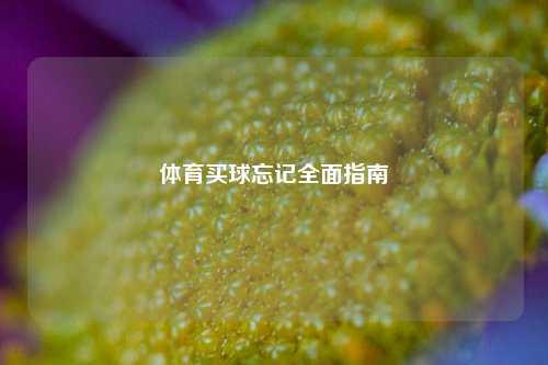 体育买球忘记全面指南
