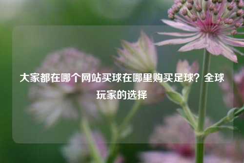 大家都在哪个网站买球在哪里购买足球？全球玩家的选择