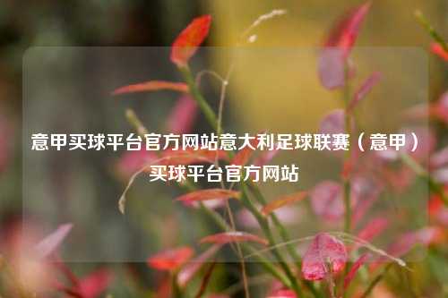 意甲买球平台官方网站意大利足球联赛（意甲）买球平台官方网站