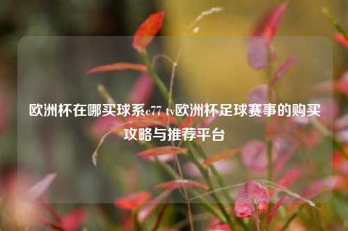 欧洲杯在哪买球系c77 tv欧洲杯足球赛事的购买攻略与推荐平台