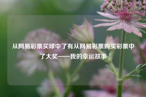 从网易彩票买球中了有从网易彩票购买彩票中了大奖——我的幸运故事
